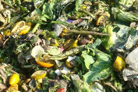 廚余垃圾資源化